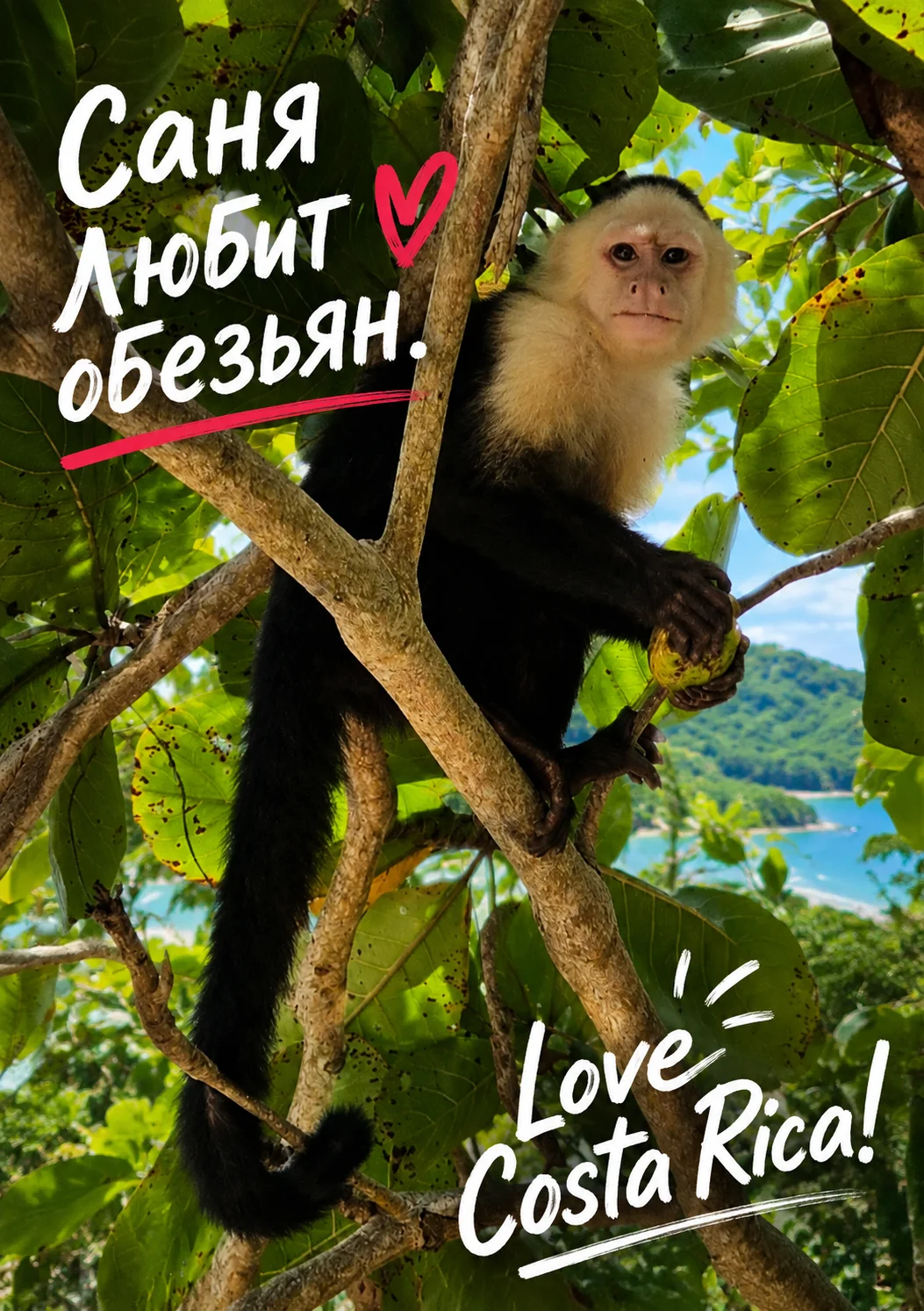 Capuchin monkey on a branch above a tropical bay, with handwritten Cyrillic text and the words Love Costa Rica